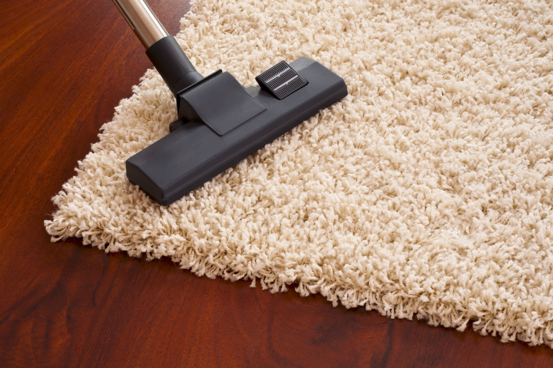 Cortinas, carpetes e tapetes. Como limpá-los?