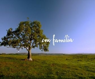 Em Família: Resumos dos capítulos de 26/05 a 31/05